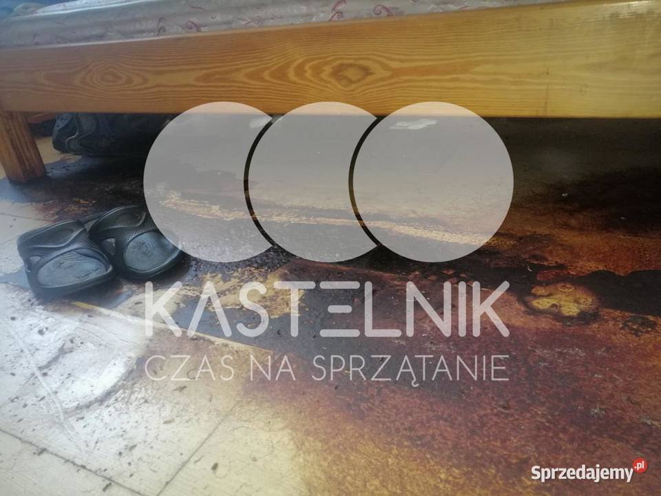 Sprzątanie zgonach Ozorków Kastelnik Dezynfekcja