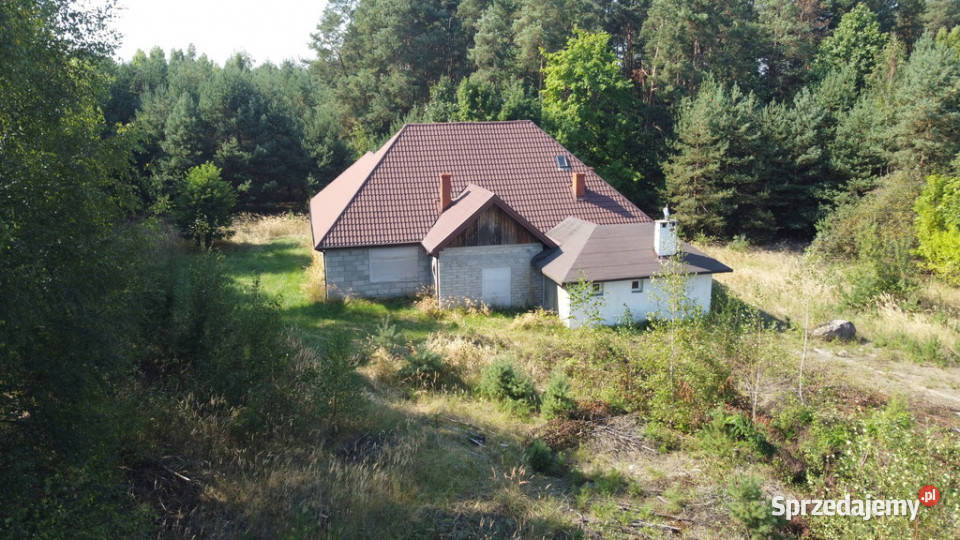 Dom na dużej działce w Świesielicach gm Świesielice
