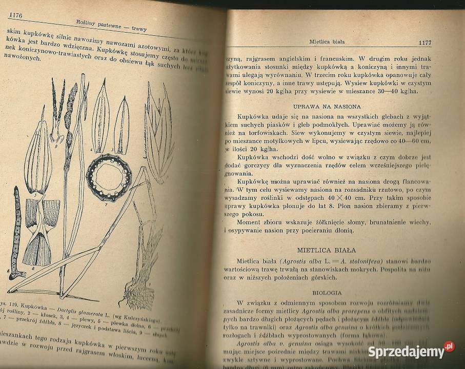 Szczegółowa uprawa roślin A Listowski 1951 Łódź