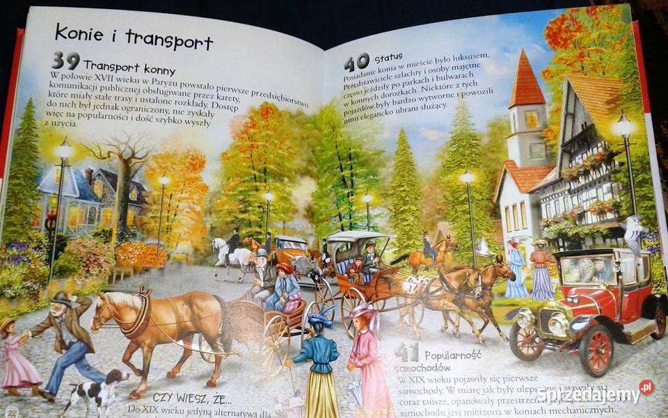 101 ciekawostek Konie Anais Puygrenier miękka Chełm