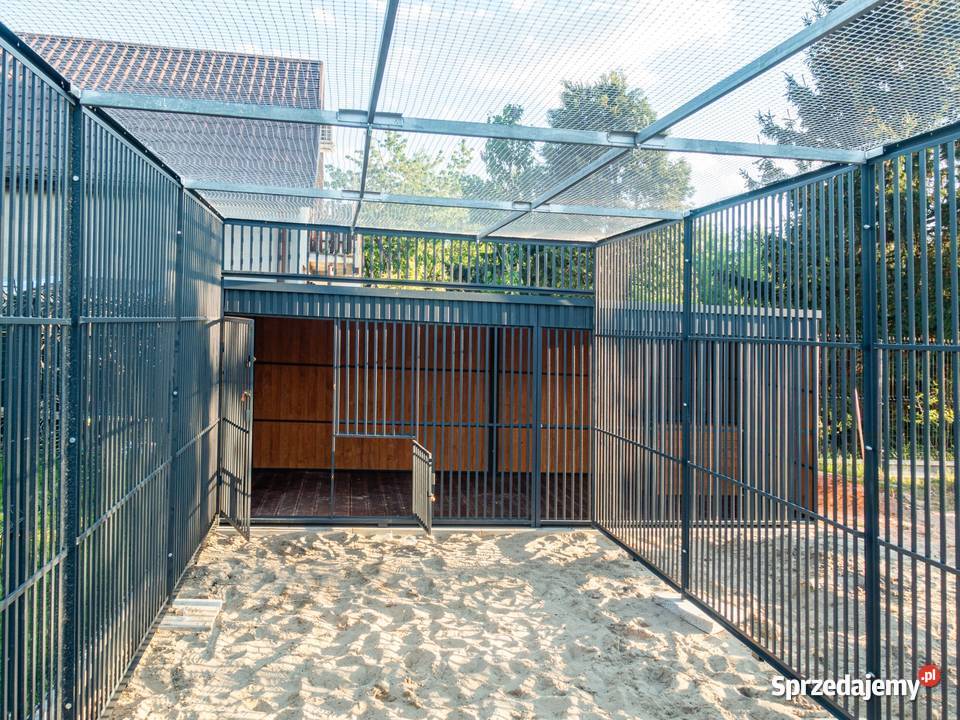 Kojec Psa Psów z WZMOCNIENIEMPodłoga drewniana