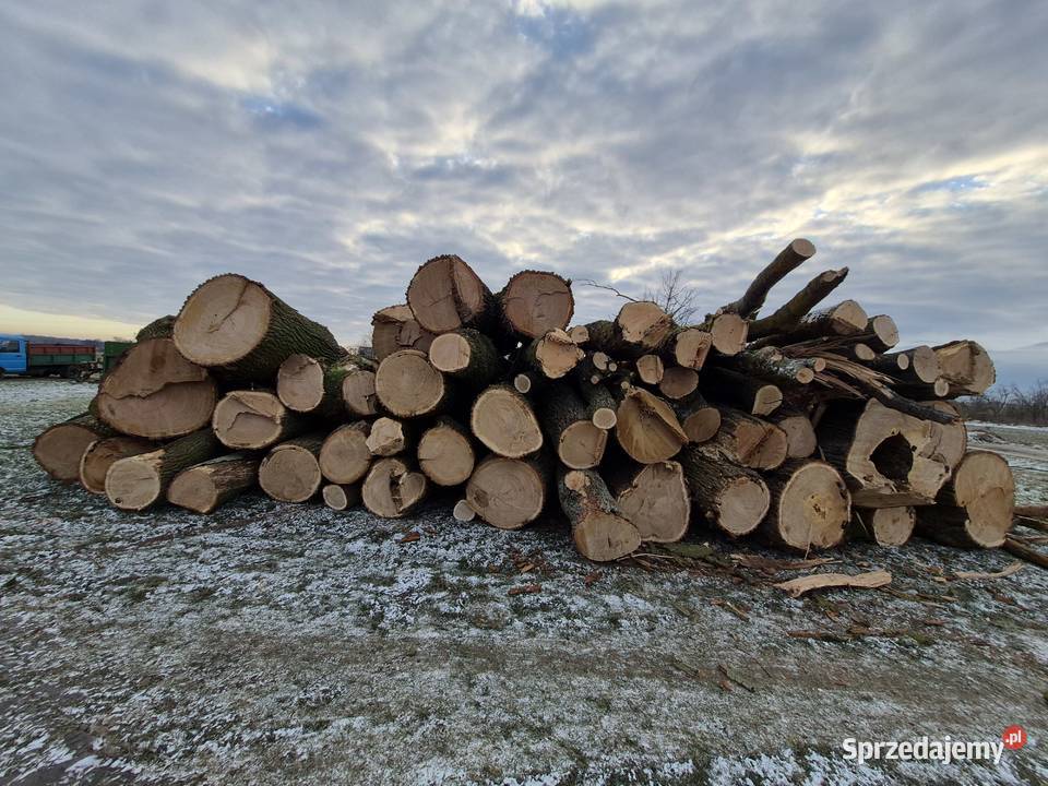 Drewno kominkowe opałowe rąbane liściaste Pyrzyce sprzedam