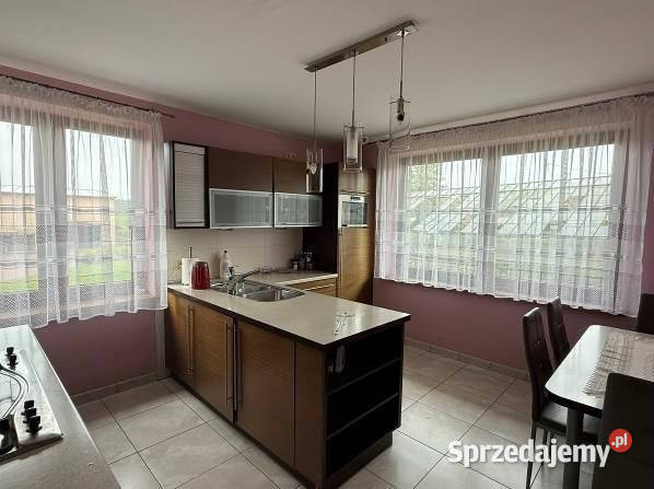 Sprzedam dom i szklarnie Godziesze Małe