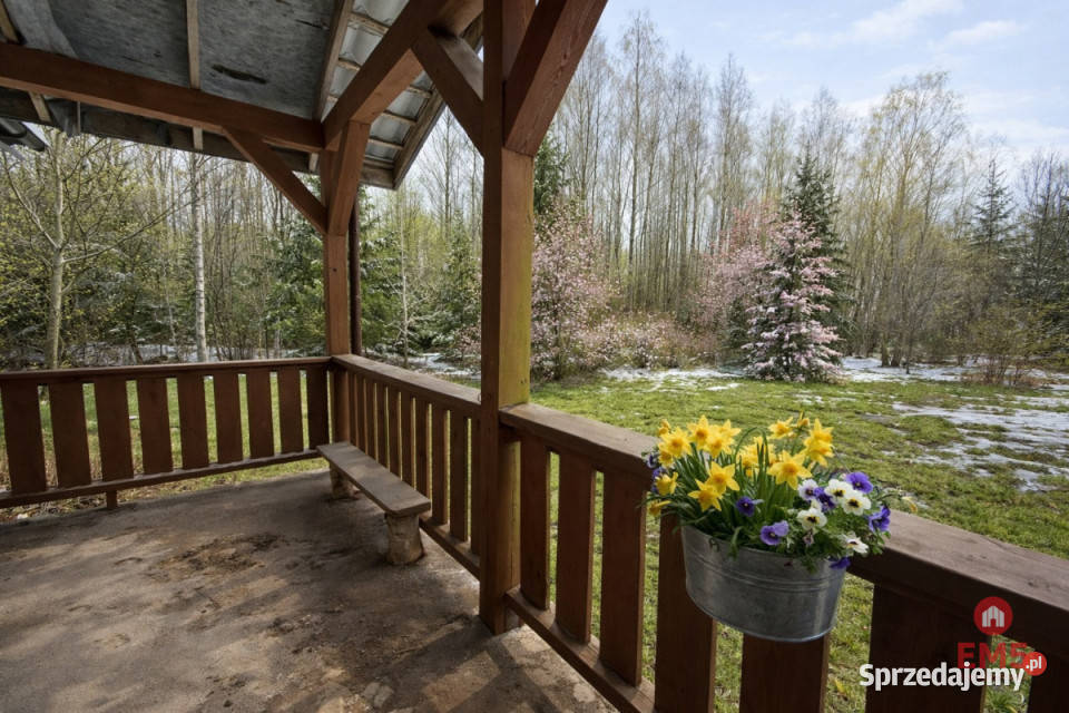 Sprzedaż domu wolnostojącego Skrybicze 6991m2 6991m2