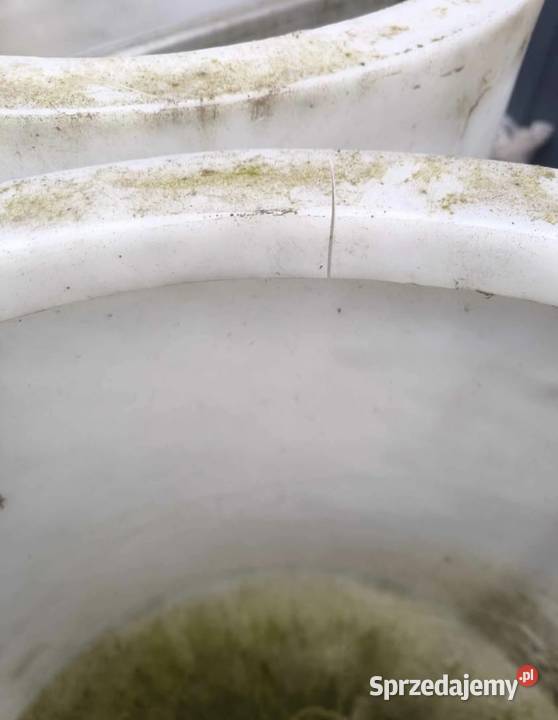 Tubomat karmnik świń automat paszowy Maków Mazowiecki