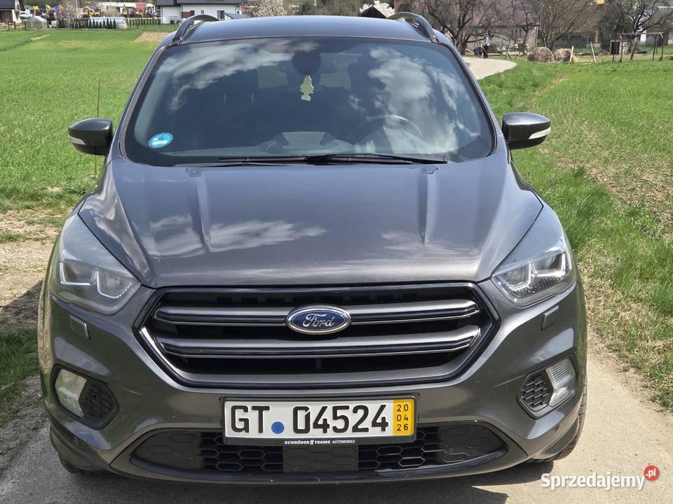Ford kuga małopolskie Rogi