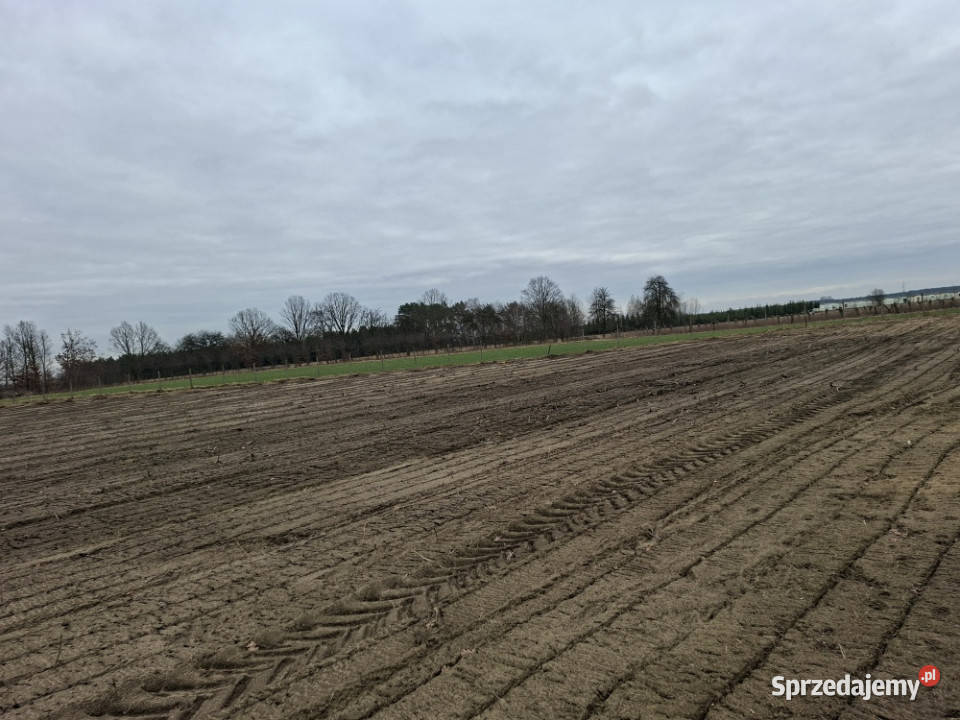 Syndyk sprzeda udział 38 w prawie własności Nuna sprzedam