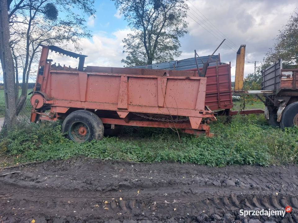 Rozrzutnik obornika wielkopolskie