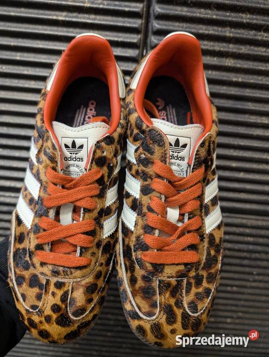 Adidas Samba OG Leopard Panterka r 375 235 Stan pomorskie Rzeczenica sprzedam