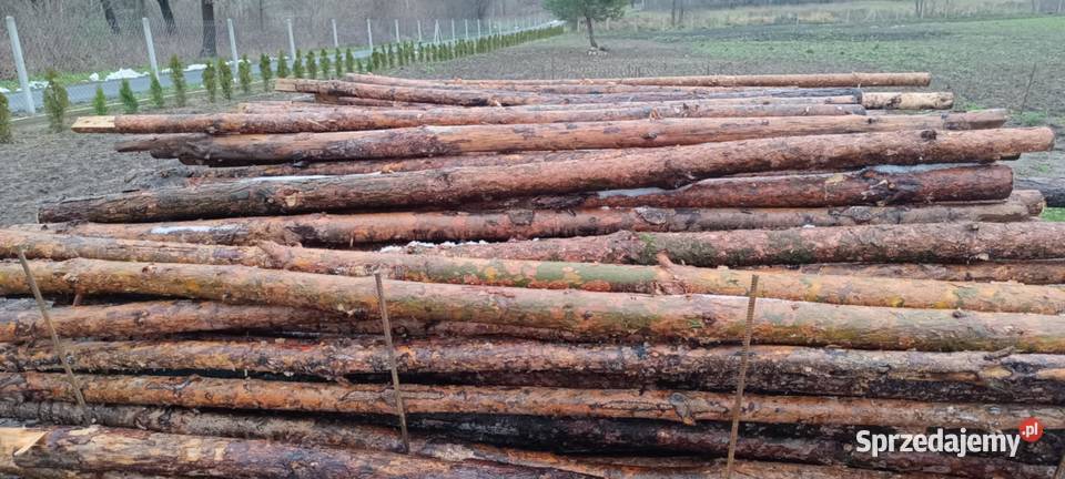 Stemple budowlane drewniane Wolanów