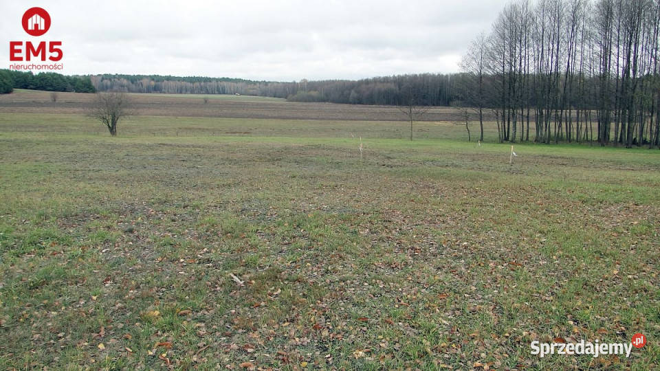 sprzedaży gruntu Tołcze 1000m2 budowlana