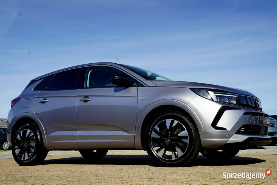 Opel Grandland X FUL LED skóra NAWI automat8 Otmuchów