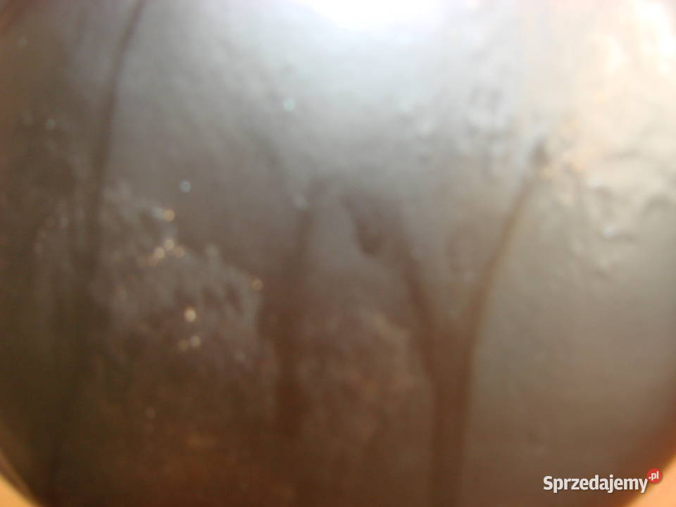 WGermany wazon Pruszcz Gdański