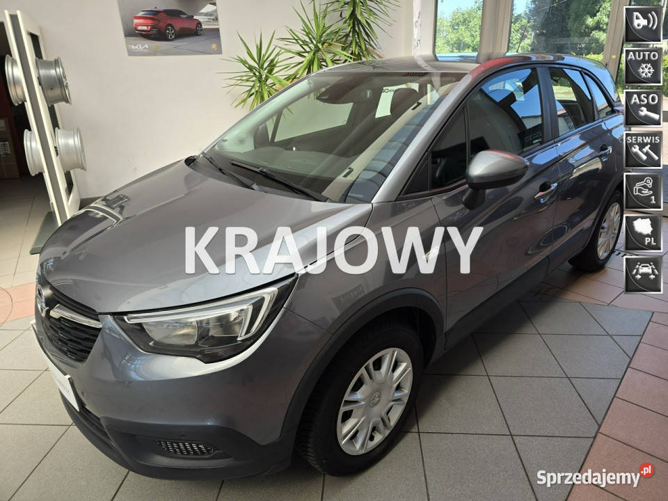 Opel Crossland X Pierwszy wł Krajowy Serwisowany wielofunkcyjna kierownica sprzedam