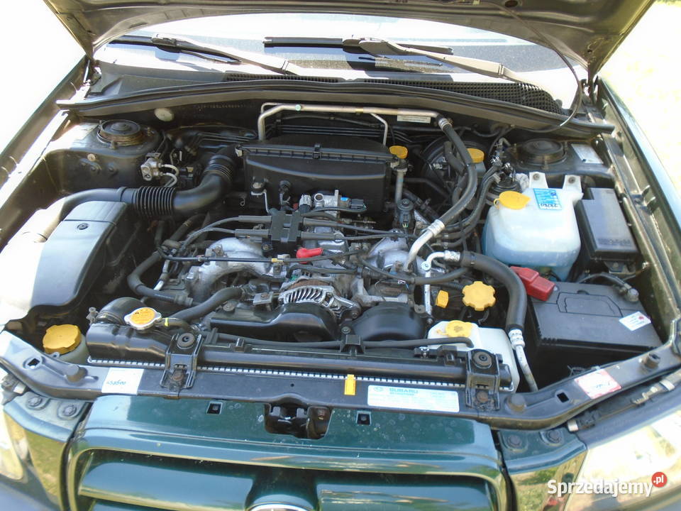 Subaru Forester SG 20 04 Nowa Brzeźnica