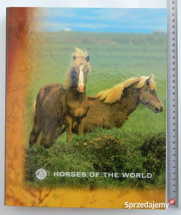 Segregator Resta A4 konie Horses of the World