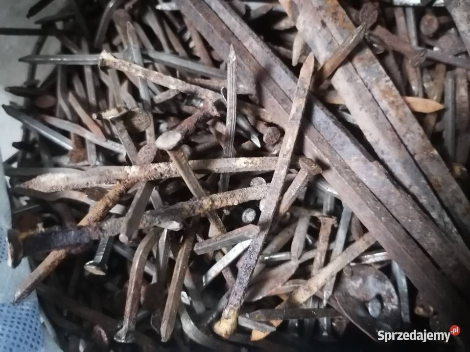 Gwoździe kwadratowe kute ponad 100letnie Dom i Ogród Nakło nad Notecią sprzedam