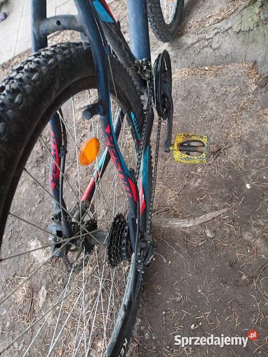 Rower MTB 29 Wołów