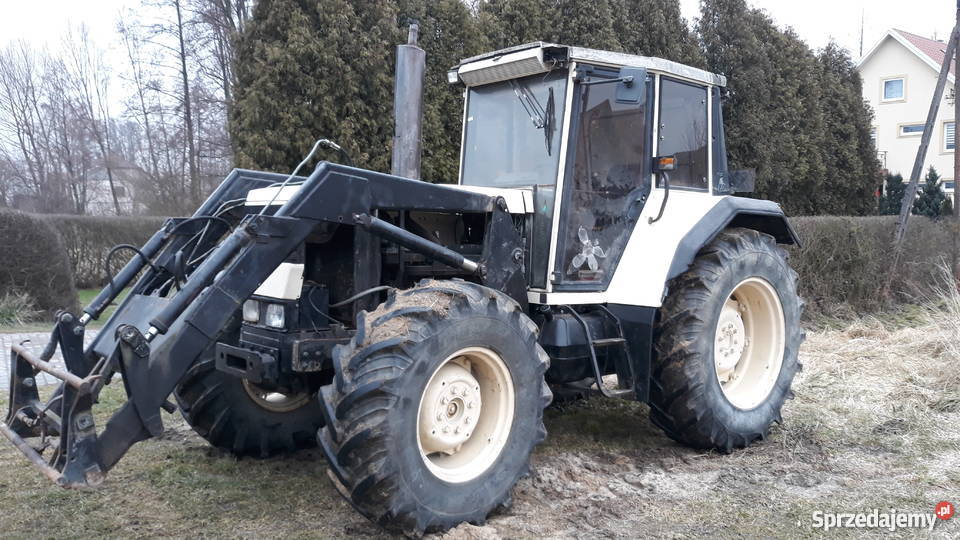 Ciągnik roku w krajuzarejestrowany i Lamborgini lubelskie Łukowa