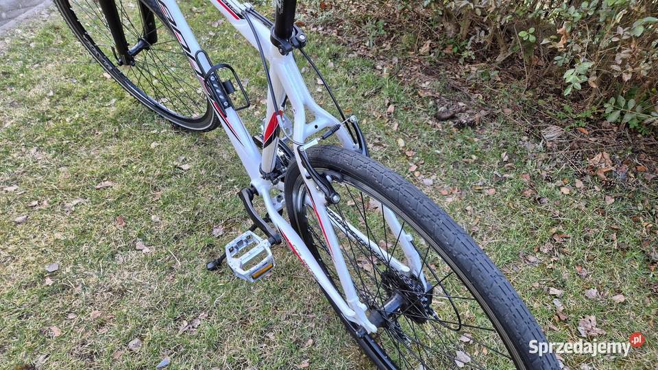 Rower Kands Maestro 21 Cross aluminium Shimano Jelenia Góra