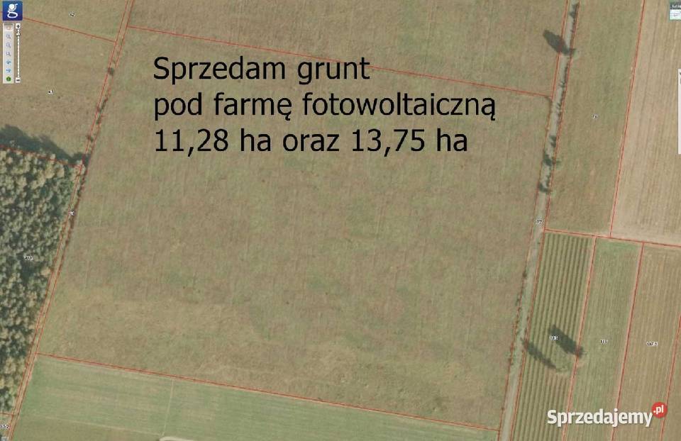 Sprzedam grunt pod farmę fotowoltaiczną Powiat inwestycyjna mazowieckie Puszcza Mariańska