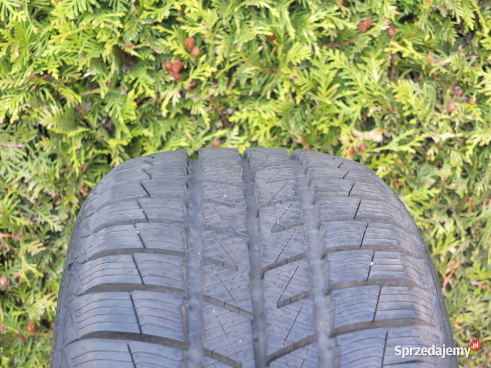 Barum Polaris 5 2156017 Sobolew