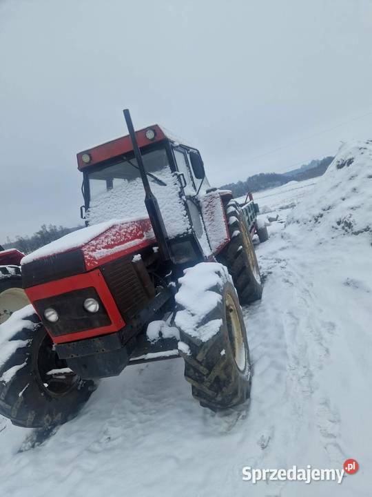 Zetor 8145 Sprowadzony