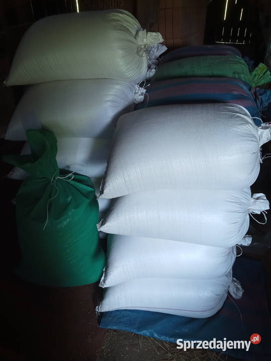 Pszenica workowana Mrocza