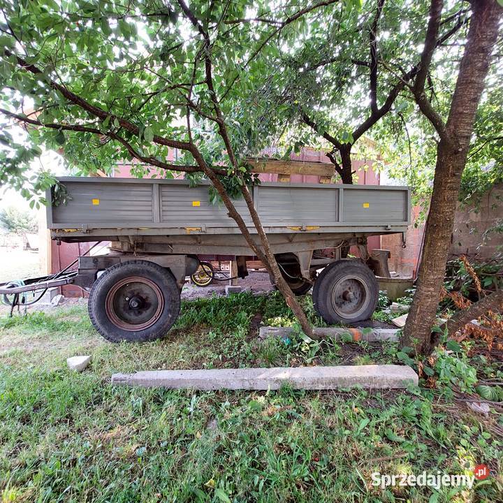 Drewno do wędzenia wiśnia Łapy