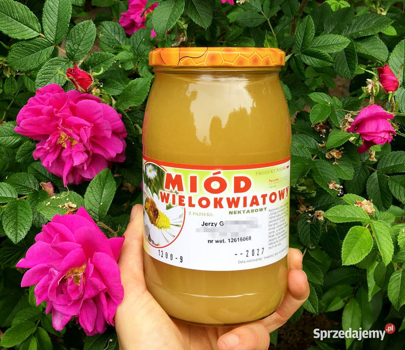 Miód wielokwiatowy wiosenny maj 2024 Kraków sprzedam