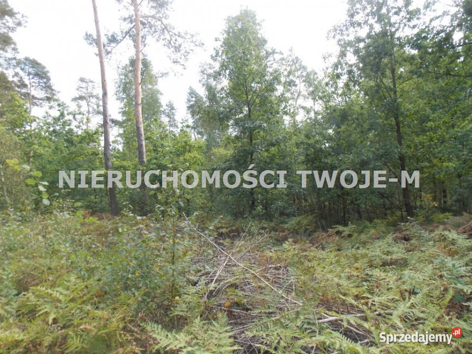 grunt 1530m2 Ostrowiec Świętokrzyski