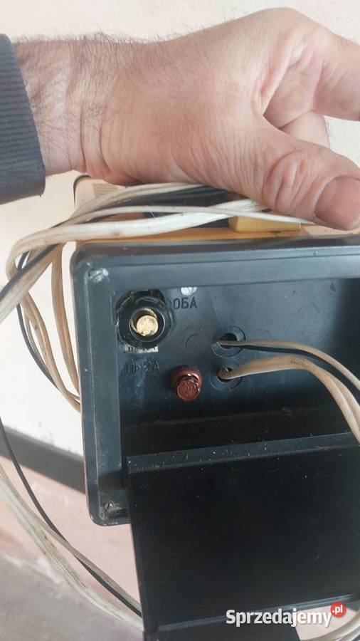 Prostownik rosyjski podkarpackie Ropczyce