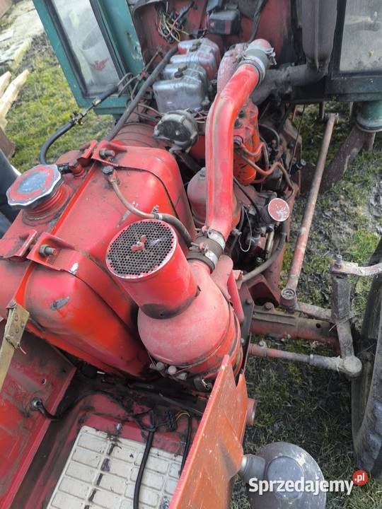 Władimirec z rewersem Lublin