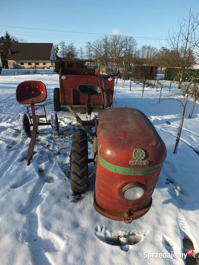 Dzik 221 Sprawny Osprzęt Kurier ŚLĄSK śląskie Golasowice