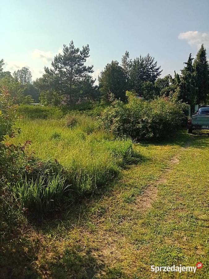 Montaż ogrodzeń Pracę ogrodnicze Lublin