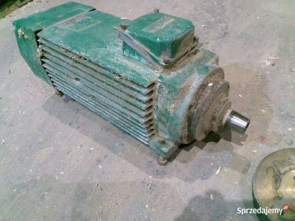 Silnik elektryczny Jamnik 45 kW Strzeszkowice