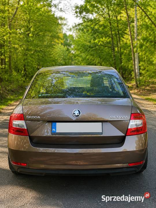 Skoda Octavia 16 TDI 115 2020 Climatronic Gotowa mazowieckie Przytyk
