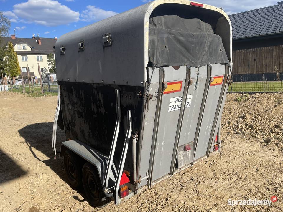 Przyczepa koni bez dokumentów Lublin