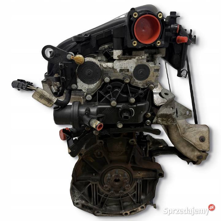 SILNIK K4M812 Renault Scenic Megane II 16 16V osobowe Chełm