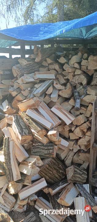 Sprzedam drewno opałowe Opał Poznań