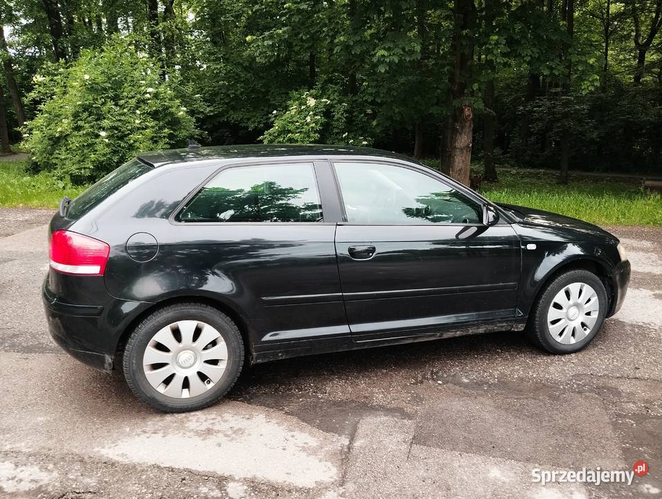 Audi A3 8p 19TDI bogate wyposażenie przyciemniane szyby śląskie Bielsko-Biała