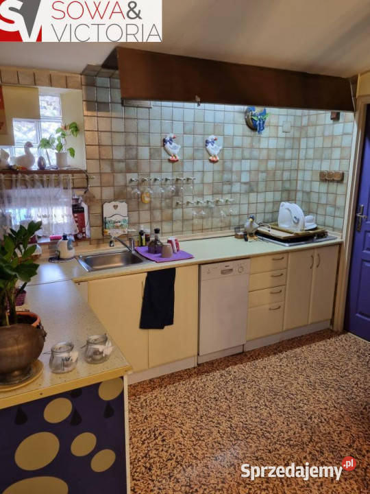 Nieruchomość o wielu możliwościach Dziećmorowice