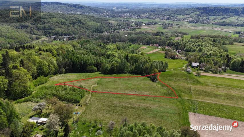 sprzedaży gruntu Lutcza 7000m2 14zł/m2 Nieruchomości podkarpackie sprzedam