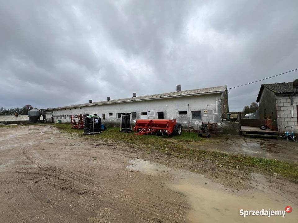 Syndyk sprzeda 12 nieruchomości Cimoszki gm Sprzedaż