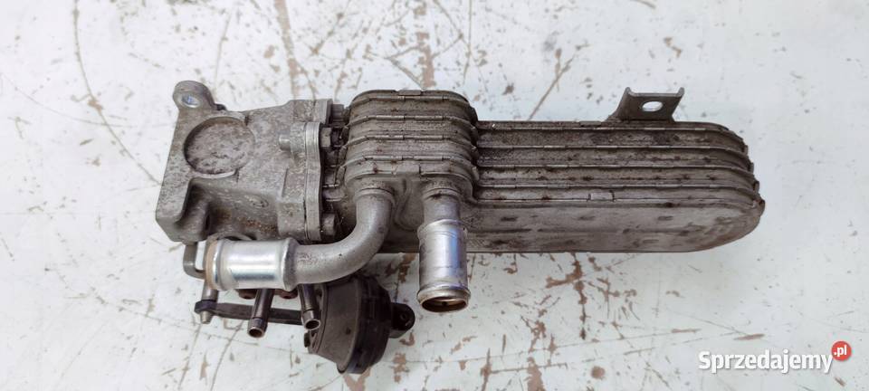 CHŁODNICA SPALIN AUDI A3 8P VW 20 TDI 03G131513J Przystajń