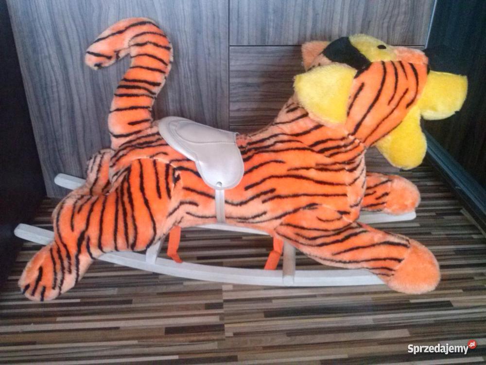 TYGRYS NA BIEGUNACH Księginice sprzedam