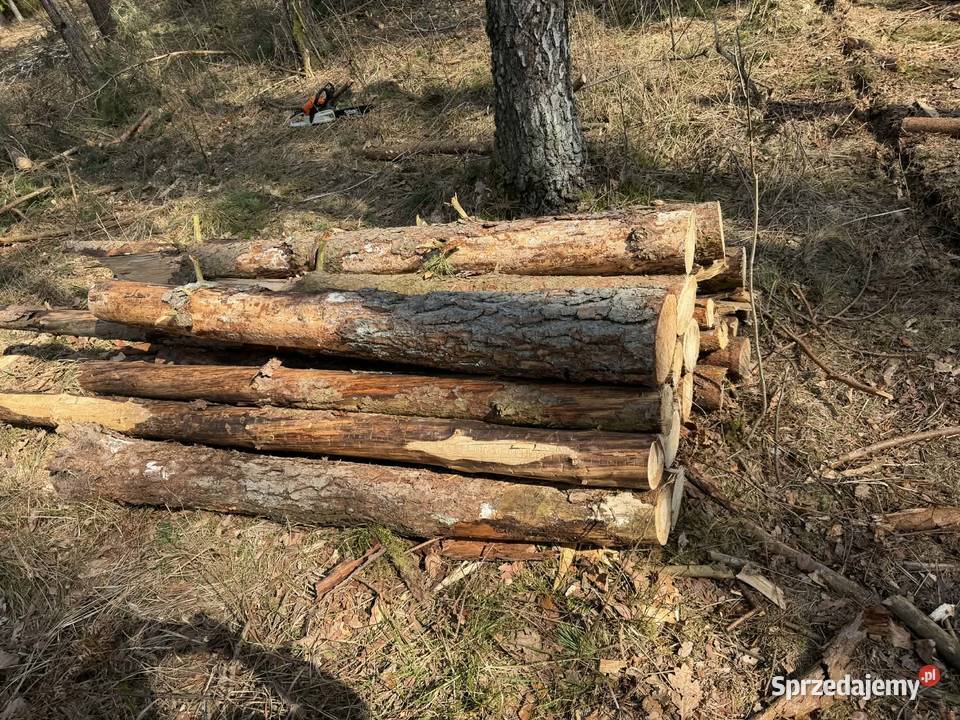 Opał drewno brzoza sosna Wałki Szlachta sprzedam