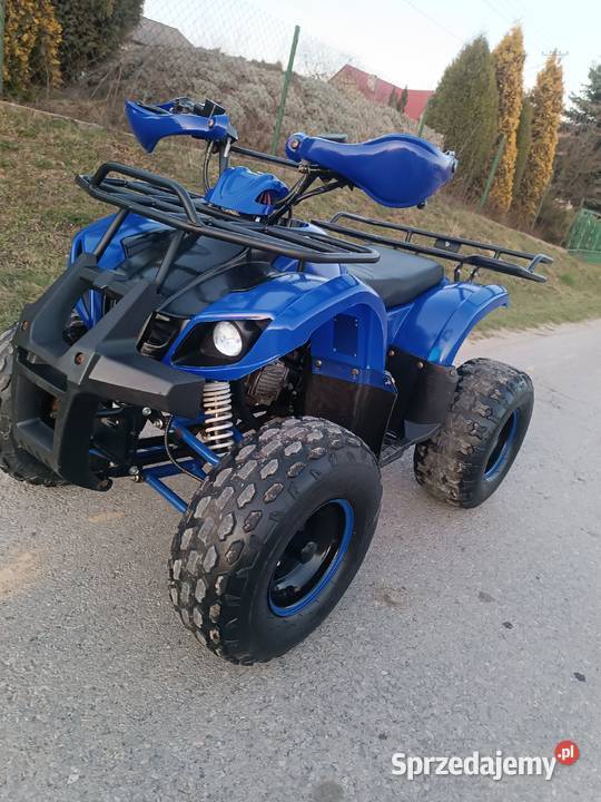 Quad 125 Pilica