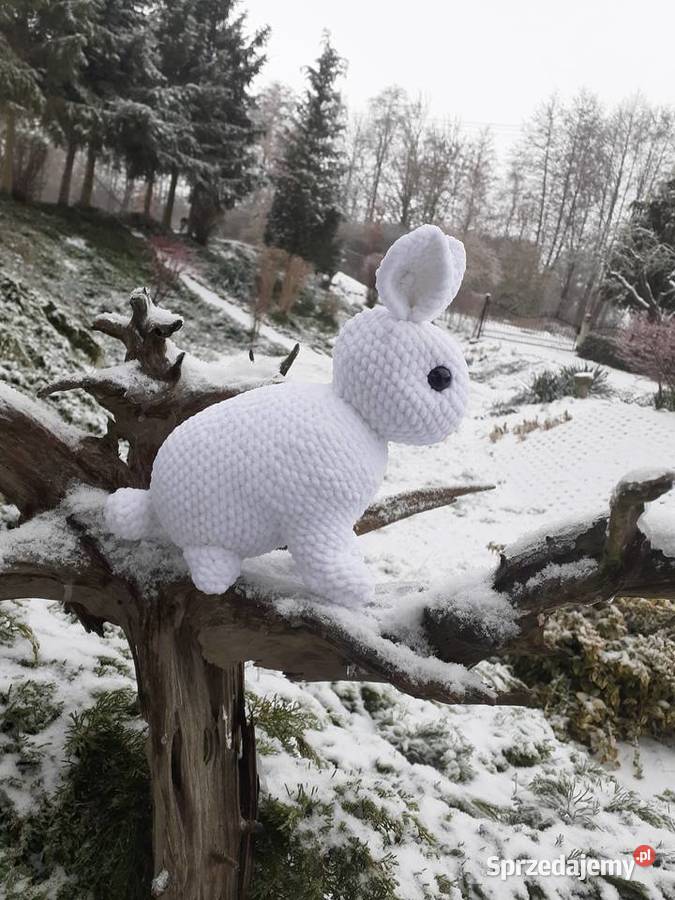 Królik na szydełku Nakło nad Notecią