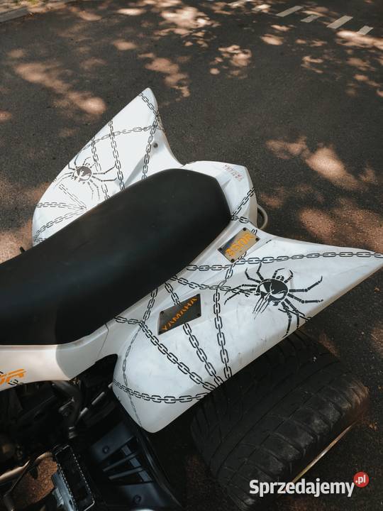 Yamaha Raptor homologacja kat B robi wrażenie Mysłowice